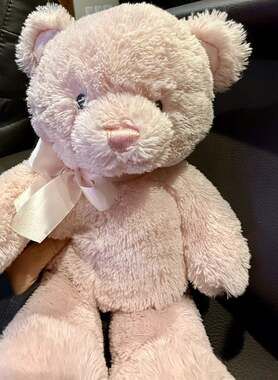 Baby GUND Pink My First Teddy Bear Plush 15" Stuffed Animal 6048623